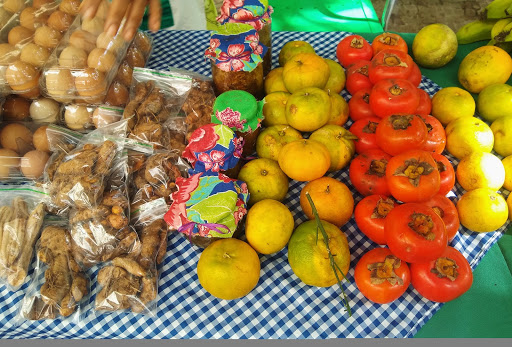 Curso de Nutrição promove a primeira Feira&nbsp;Agroecológica