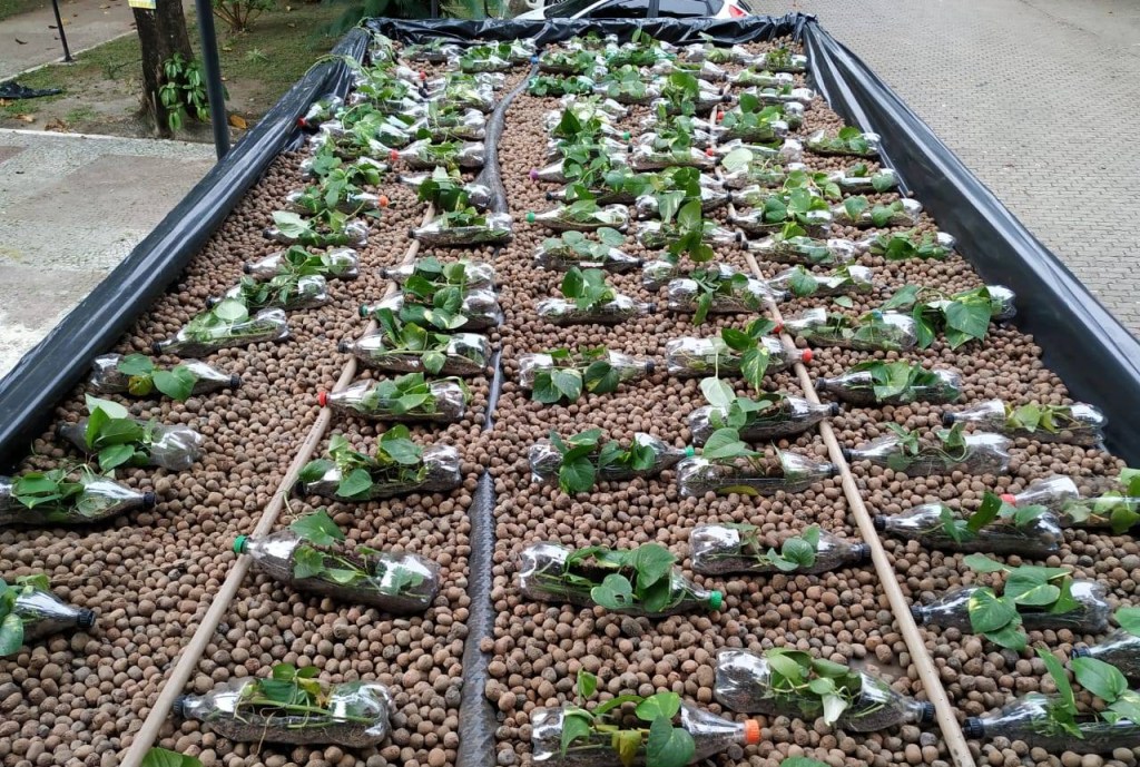 Alunos de Engenharia desenvolvem “telhado&nbsp;verde”