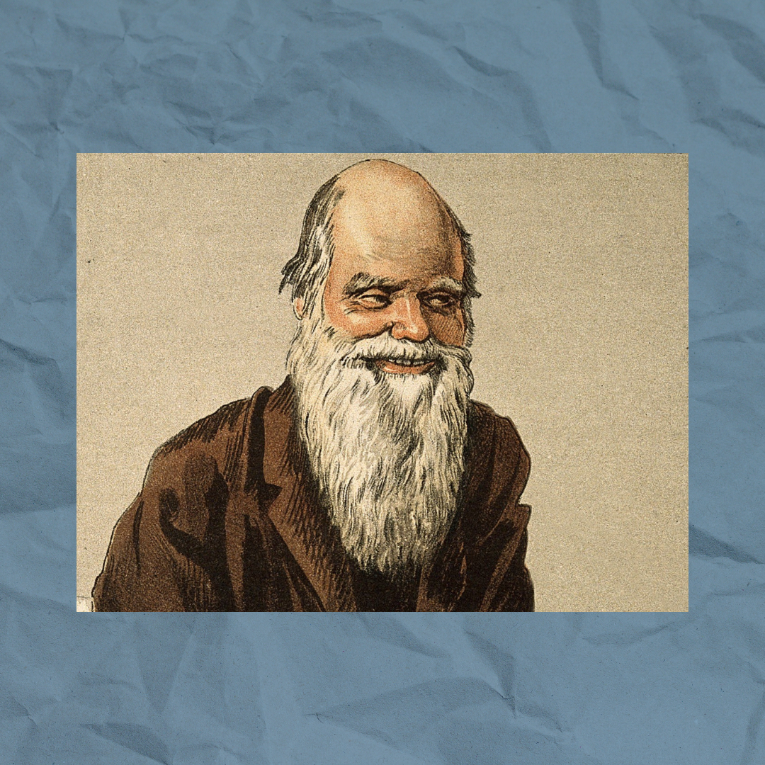 Exposição “Darwin – Origens e Evolução” traz ciência e arte para o ambiente virtual