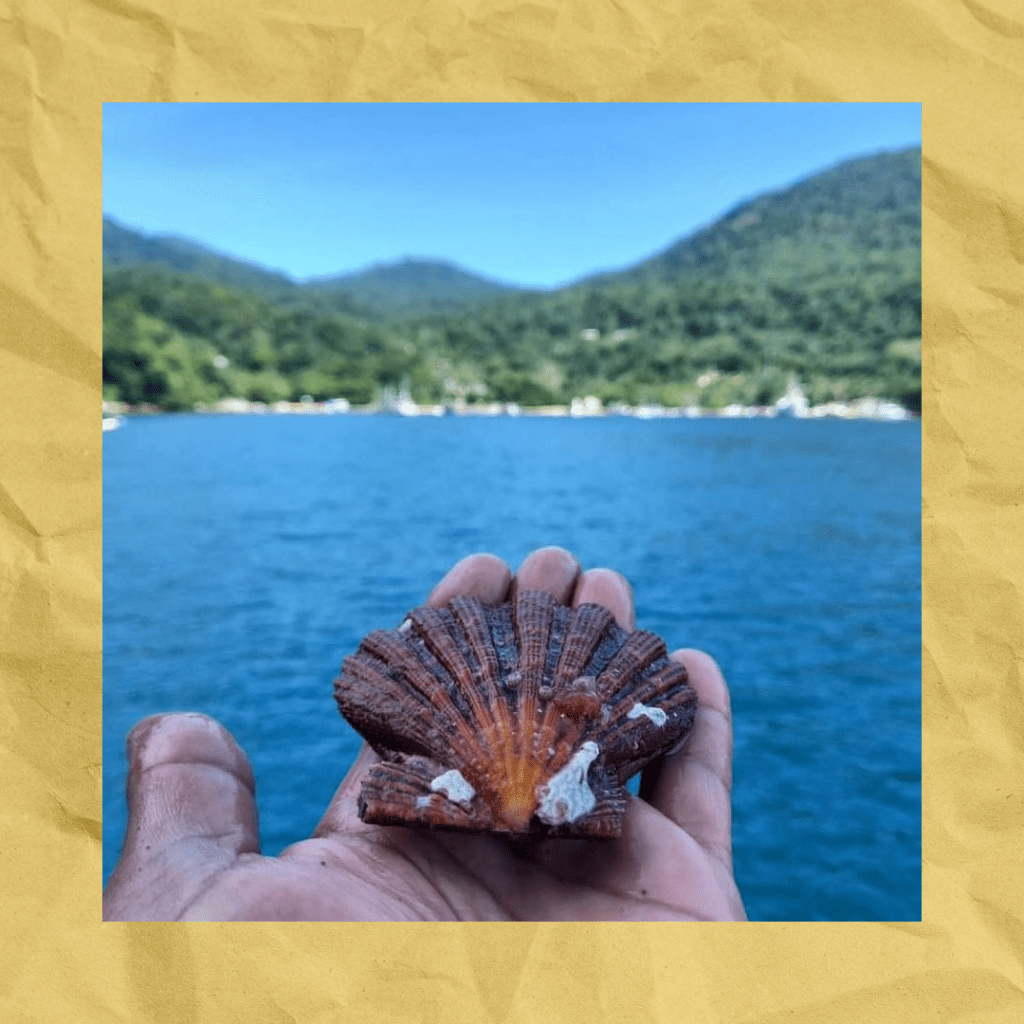 Tesouro Azul – A Importância da Preservação dos&nbsp;Oceanos