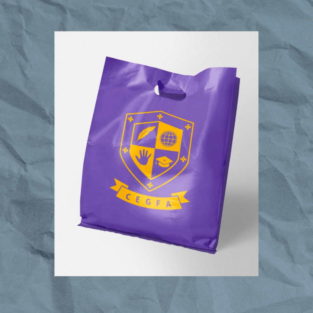 Pobreza menstrual mobiliza alunas de colégio&nbsp;estadual