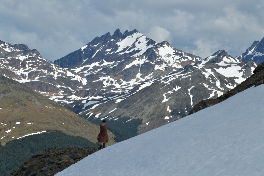 Agência UVA Barra Assistiu: Bem-Vinda,&nbsp;Violeta