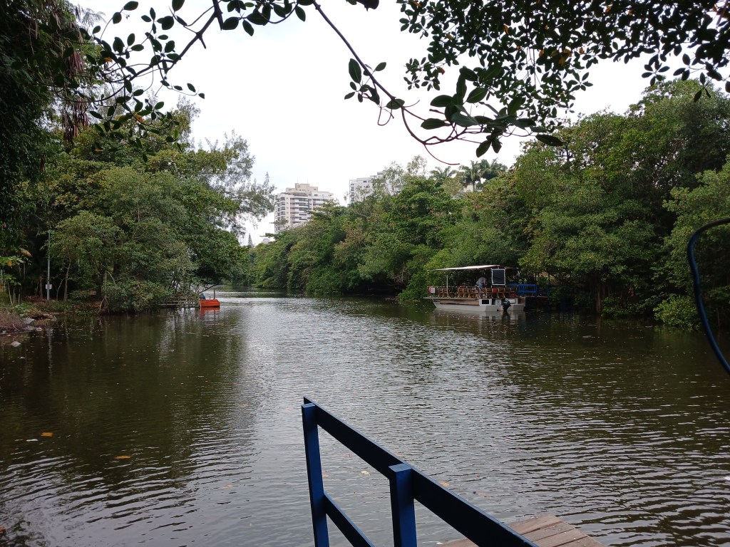 Falta de fiscalização e estrutura de despejo de esgoto causa poluição nas áreas aquáticas da Barra da&nbsp;Tijuca