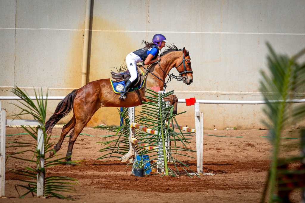 Os benefícios da equoterapia e do hipismo para o ser&nbsp;humano